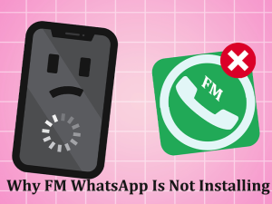 Why-FM-WhatsApp-Is-Not-Installing
